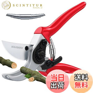 �y���������zSOLODOTO RIBEN PRUNING SHEARS �F�F�ԁA�T�C�Y�F20CM
