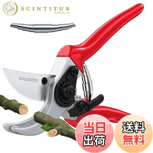 �y���������zSOLODOTO RIBEN PRUNING SHEARS �F�F2026�A�b�v�O���[�h��
