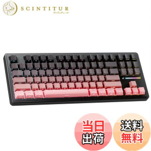 �y���������zATTACK SHARK M87PRO �R���p�N�g 3���[�h ���J�j�J���L�[�{�[�h Bluetooth/���C�����X/�L�� 2.4GHz TYPE-C 87�L�[ 80% �z�� RGB���C�g �z�b�g�X���b�v�Ή� �K�X�P�b�g�\�� �Q�[�~���O�L�[�{�[�h
