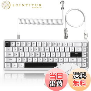�y���������zMAMBASNAKExATTACK SHARK X65HE+R1 �Q�[�~���O�L�[�{�[�h�}�E�X�Z�b�g 65% ���C�����s�b�h�g���K�[ RGB 8K�|�[�����O���[�g / ���y��59g �����}�E�X PAW3311 18000DPI 2.4G/Bluetooth / 0.125ms���C�e���V