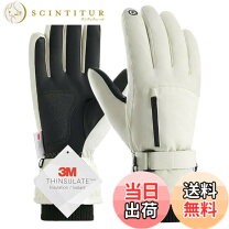 楽天市場】バイク グローブ 防寒 白バイの通販