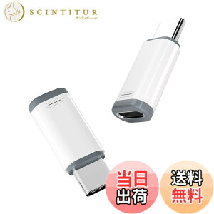 �y���������zscreenprotector �Ή� �`�����h�~�t�B���� �{ �����Y�ی�t�B���� �T�C�Y�F�Ή� Typec(�I�X) iphone(���X)-��