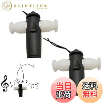 楽天市場】笛 楽器（スポーツ・アウトドア）の通販