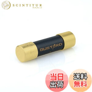 �y���������zGUSTARD HIFI�����p�q���[�Y �i�m�����n�C�G���h�q���[�Y DR70/R30/X30/R26 II/X26 III/U26/S26/HP70/H26/A26/R26/ X26PRO/A22/H20/X20/X22 �ɑΉ� Gustard�q���[�Y fuse 3.15A �T�C�Y�F3.15A