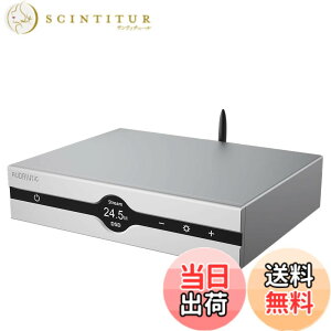 �y���������zGustard Audalytic DR70 R2R DAC �F�F�V���o�[