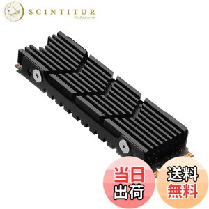 �y���������zAwxlumv M.2�q�[�g�V���NNVMe SSD PS5�q�[�g�V���N�R���s���[�^PC PCIE M2 2280 SSD�N�[���[�T�[�}���V���R���p�b�h�t��PC / PS5�p�T���X��990 980 970 EVO Plus SN850 SN750 SN570 Firecuda 530 �u���b�N �F