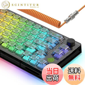 �y���������zMAGIC-REFINER MK31�Q�[�~���O�L�[�{�[�h ���J�j�J�� �S���� 18RGB TYPE-C 66�L�[(US�z��)���^ �e���L�[���X �L���L�[�{�[�h �L�[�h�Փ� �h���d�l Windows/Mac IOS�Ή� �d��PC�p/����Q�[���p 