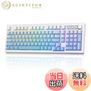 �y���������zFREEWOLF ���C�����X�L�[�{�[�h, �O���[�h Bluetooth 5.0/2.4G/USB-C, PBT �O���f�[�V���� ���ʍ��� �L�[�L���b�v, �m�u�t��,26�L�[ ���[���I�[�o�[, RGB �o�b�N���C�g, Mac Windows �Ή� �Z�p��