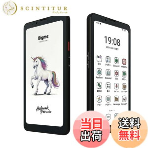 �y���������zBigme 5G �f���A��SIM 6.13�C���` HD �J���[E�y�[�p�[�f�B�X�v���C �X�}�[�g�t�H��, Android 14, �w��F��, NFC�Ή�, 4500mAh �o�b�e���[ (�z���C�g) �F�F�u���b�N