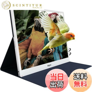 �y���������zBigme 13.3�C���` �d�q�y�[�p�[ �f�B�X�v���C ���j�^�[, �ڂɗD���� �F�F�z���C�g
