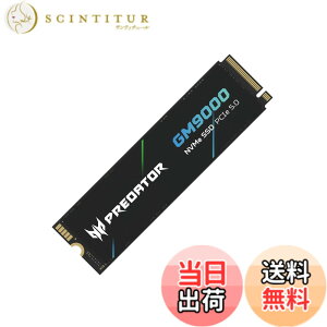 �y���������zAcer Predator �n�C�G���hSSD M.2 SSD DRAM�L���b�V������ GM7000 GM9000�V���[�Y �T�C�Y�F2TB