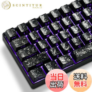 �y���������z[Hkfos] XVX �V�[�X���[�L�[�L���b�v �t�H�[�W�h�J�[�{���� �`�F���[�v���t�@�C�� �L�[�L���b�v�Z�b�g 140 �L�[ ���J�j�J���L�[�{�[�h�Ή� ANSI �z�� MX �X�C�b�`�݊� �F�F�u���b�N