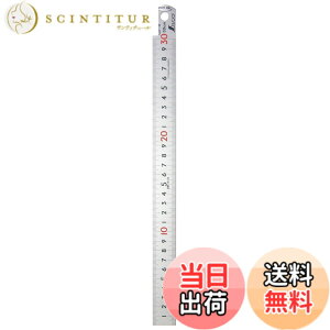 �y���������z�s�b�N�A�b�v�X�P�[�� WEIGH_SCALE �F�F�V���o�[�A�T�C�Y�F30cm