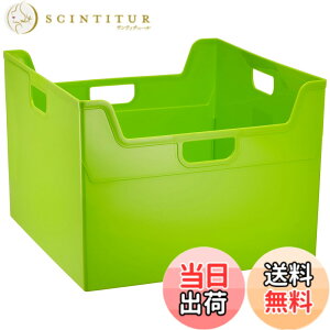 �y���������z�Z���s�[�L�b�Y�J���[�V���[�Y �t�@�C���{�b�N�X A4 �t�{-TC4K �F�F�O���[���A�T�C�Y�FA4�_�u��