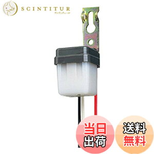 �y���������z���Ń��C�e�b�N �t�H�g�X�C�b�` ELECTRONIC_SWITCH �F�F�u���b�N