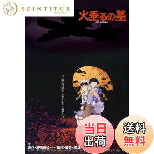「火垂るの墓 ポスター」の人気商品一覧 | 安い商品を通販サイトから探す - 価格.com