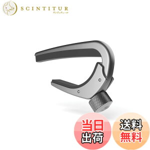 �y���������zD'Addario �_�_���I �J�|�^�X�g �G���L�M�^�[/�A�R�[�X�e�B�b�N�M�^�[�p �y�ʃA���~�� NS Capo Pro PW-CP-02 �y�������K�i�z �F�FSilver