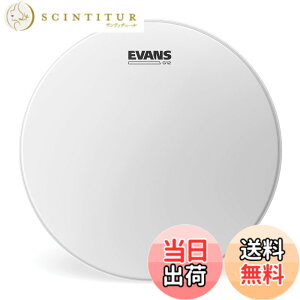 �y���������zEVANS �G���@���X �h�����w�b�h G12 (single-ply,12mil) �y�������K�i�z �F�F�R�[�e�b�h�A�T�C�Y�F14