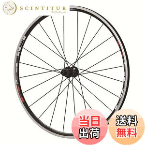 �y���������z�V�}�m(SHIMANO) ���[�h�z�C�[�� WH-R501A (�G�A���X�|�[�N�d�l) �e�� �t�����g/���A/�O��Z�b�g �F�F�Ȃ��A�T�C�Y�F��