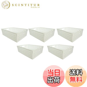 �y���������z�C�m�}�^���w(Inomata-k) �X�g�b�N�o�X�P�b�g �o���G�[�V���� �F�F�z���C�g�A�T�C�Y�FB5 5��