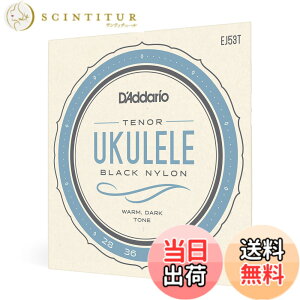 �y���������zD'Addario �_�_���I �E�N������ Pro-Art Rectified Black Nylon EJ53 �y�������K�i�z �T�C�Y�FTenor