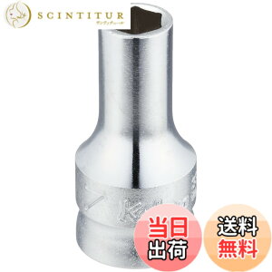�y���������z�R���H�ƌ����� Z-EAL 6�p�Z�~�f�B�[�v�\�P�b�g FASTENER_DRIVE_BIT �T�C�Y�F�����p : 9.5mm