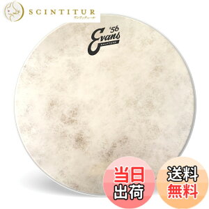 �y���������zEVANS �G���@���X �h�����w�b�h `56 Calftone Tom �y�������K�i�z �T�C�Y�F15