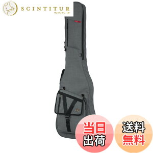 �y���������zGATOR �Q�[�^�[ �G���L�x�[�X�p �M�O�o�b�O Transit Series GT-BASS �y�������K�i�z �F�F�O���[
