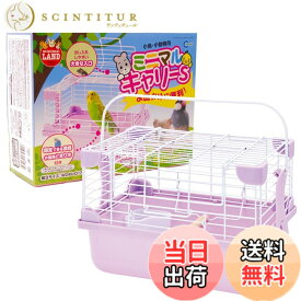 【送料無料】ミニマルランド ミニマルキャリー 色：マルチカラー、サイズ：23L x 18W x 16H cm