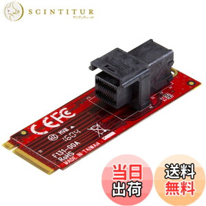 �y���������z�X�^�[�e�b�N.com PCI Express�Ή� M.2 SSD �R���g���[���J�[�h �T�C�Y�F1 �|�[�g