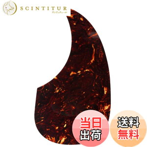 �y���������zMusiclily D-28�^�C�v�A�R�[�X�e�B�b�N�M�^�[�p�s�b�N�K�[�h �F�Fꈍb��