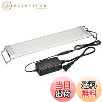 楽天市場】テトラパワーled プレミアムの通販