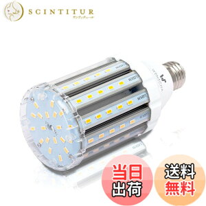 �y���������zlow watt led light bulbs �F�F25W WW�A�T�C�Y�F25W