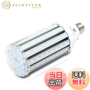 �y���������zhigh watt led light bulbs �F�F37WCold�A�T�C�Y�F35W
