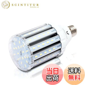 �y���������zlow watt led light bulbs �F�F25W CW�A�T�C�Y�F25W