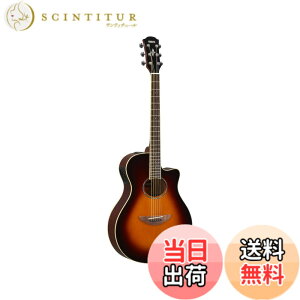 �y���������z���}�n �G���A�R�M�^�[ APX600 �F�F�I�[���h�o�C�I�����T���o�[�X�g(OVS)