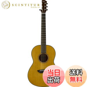 �y���������z���}�n �A�R�[�X�e�B�b�N�M�^�[ �V���[�g�X�P�[�� CSF1M �F�F�r���e�[�W�i�`������