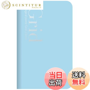 �y���������z�i�J�o���V ���W�J���E�v���C�� �O���b�h2.5 A6�X���� NA601-6 �F�F�u���[