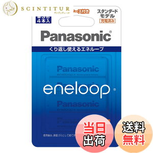 �y���������z�p�i�\�j�b�N �G�l���[�v �P3�`�[�d�r �X�^���_�[�h���f�� BK-3MCC �T�C�Y�F4�{