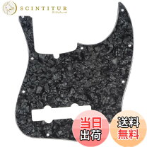 楽天市場】パールベース5bの通販