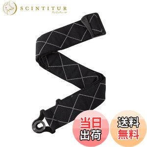 �y���������zD'Addario �_�_���I �M�^�[�X�g���b�v Autolock Strap 50BAL Padded �y�������K�i�z �F�FBlack Diamond Padded�A�T�C�Y�F2.5 inches x 55 inches x 0.5 inches
