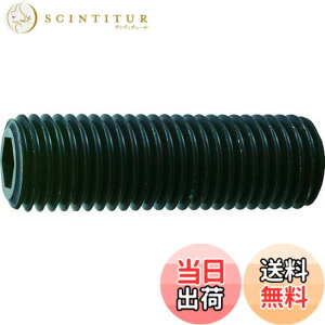 �y���������zTRUSCO(�g���X�R) �Z�p���t���~�߃l�W ���� �X�`�[�� �T�C�Y�FM20x60