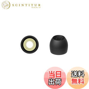 �y���������zJVC EP-FX10 �����p�C���[�s�[�X �F�F�u���b�N�A�T�C�Y�FS