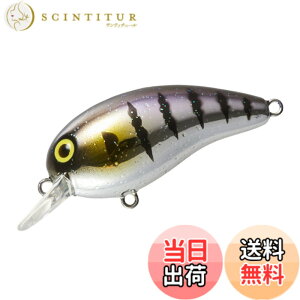 �y���������z�_�C��(DAIWA) �^�C�j�[�s�[�i�b�c SSR/SR/DR �N�����N�x�C�g �F�F�`�M���A�T�C�Y�F40mm