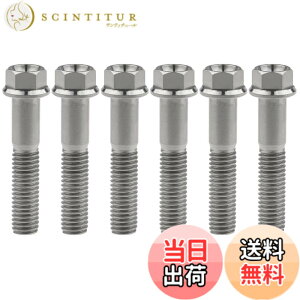 �y���������zRuifu M8x15 20 25 30 35 40 45 50 55 60 65mm �I�[�g�o�C ���������t�����W �Z�p�{���g �s�b�` 1.25mm 6���� �F�F�`�^���A�T�C�Y�FM8x40mm