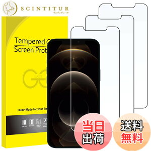 �y���������zJETech iPhone �p�����K���X �t���ی�t�B���� �F�F�N���A�A�T�C�Y�FiPhone 12 Pro Max