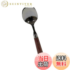 �y���������z�A�[�N�����h�T�J���g(Arcland Sakamoto) �X�v�[�� �V���o�[ 18.5x1.1x3.8cm �V���C�j�[ No.PR6064 �F�F�V���o�[�A�T�C�Y�F18.5x1.1x3.8cm