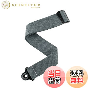 �y���������zD'Addario �_�_���I �M�^�[�X�g���b�v Autolock Strap 50BAL Padded �y�������K�i�z �F�FSkater Grey�A�T�C�Y�F2.5 inches x 55 inches x 0.5 inches