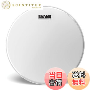 �y���������zEVANS �G���@���X �h�����w�b�h UV2 CTD �T�C�Y�F13