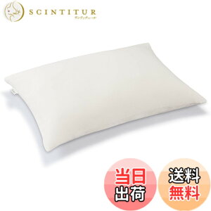 �y���������z�e���s���[��(Tempur) ���J�o�[ �F�F�x�[�W���A�T�C�Y�F63x43cm �s���[�p